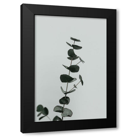 Eucalyptus Natural 10 Black Modern Wood Framed Art Print with Double Matting by Artographie Studio