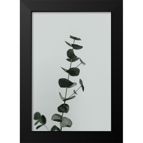Eucalyptus Natural 10 Black Modern Wood Framed Art Print by Artographie Studio