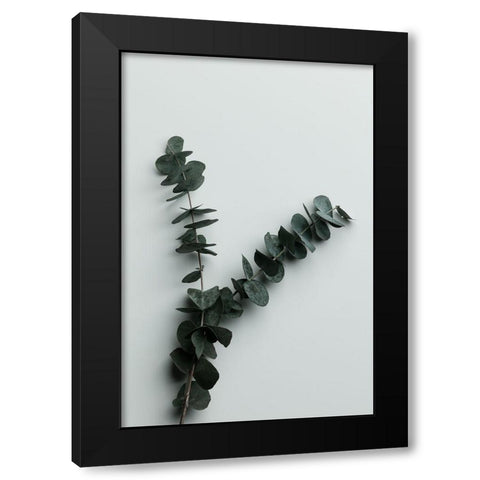Eucalyptus Wall 02 Black Modern Wood Framed Art Print with Double Matting by Artographie Studio