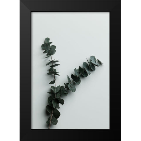 Eucalyptus Wall 02 Black Modern Wood Framed Art Print by Artographie Studio