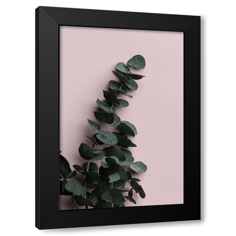 Eucalyptus Pink No02 Black Modern Wood Framed Art Print by Artographie Studio