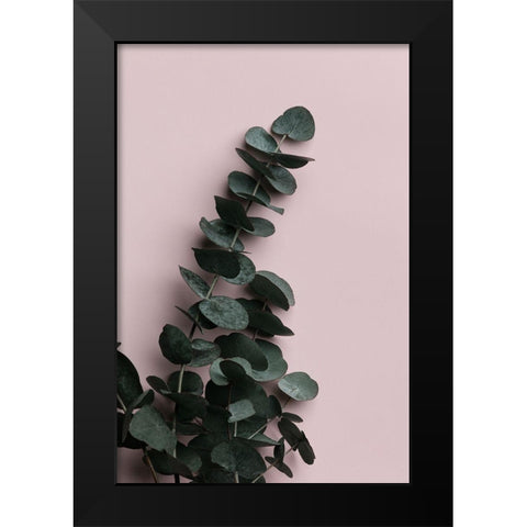 Eucalyptus Pink No02 Black Modern Wood Framed Art Print by Artographie Studio