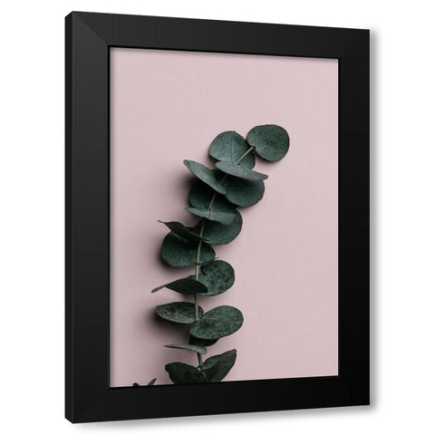 Eucalyptus Pink No 01 Black Modern Wood Framed Art Print with Double Matting by Artographie Studio