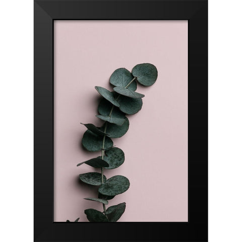 Eucalyptus Pink No 01 Black Modern Wood Framed Art Print by Artographie Studio