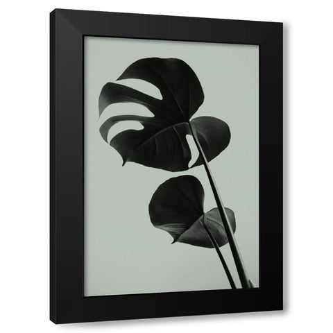 Monstera Teal 01 Black Modern Wood Framed Art Print with Double Matting by Artographie Studio