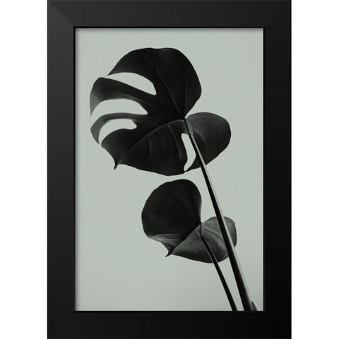 Monstera Teal 01 Black Modern Wood Framed Art Print by Artographie Studio