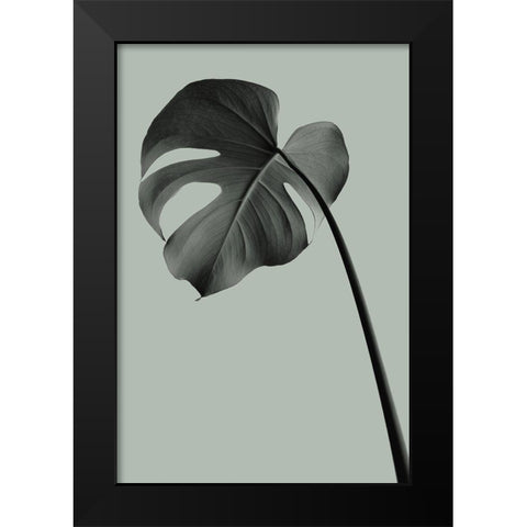 Monstera Teal 02 Black Modern Wood Framed Art Print by Artographie Studio