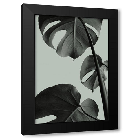 Monstera Teal 03 Black Modern Wood Framed Art Print with Double Matting by Artographie Studio