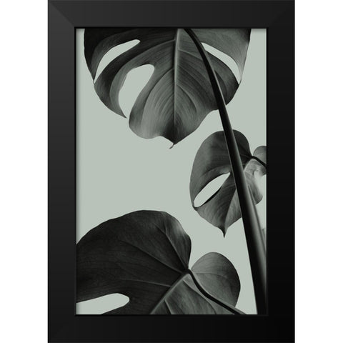 Monstera Teal 03 Black Modern Wood Framed Art Print by Artographie Studio