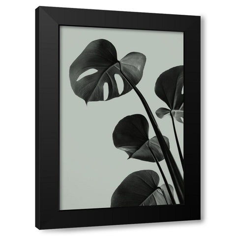 Monstera Teal 04 Black Modern Wood Framed Art Print with Double Matting by Artographie Studio
