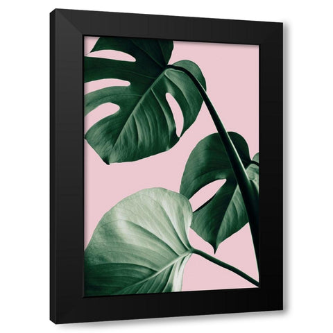 Monstera Pink No 07 Black Modern Wood Framed Art Print by Artographie Studio