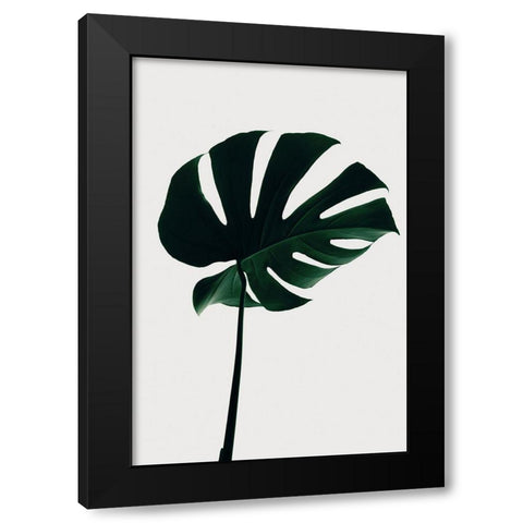 Monstera Natural 10 Black Modern Wood Framed Art Print with Double Matting by Artographie Studio