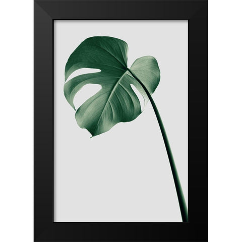Monstera Natural 36 Black Modern Wood Framed Art Print by Artographie Studio