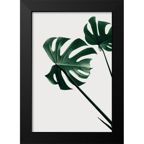 Monstera Natural 47 Black Modern Wood Framed Art Print by Artographie Studio