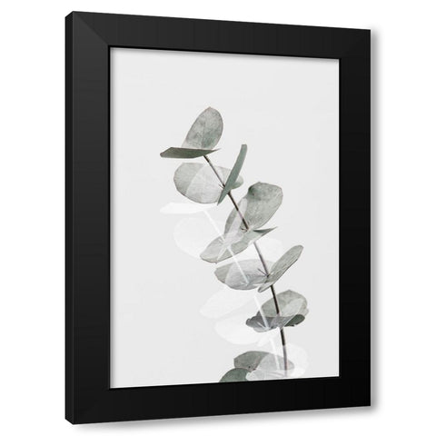 Eucalyptus Creative 05 Black Modern Wood Framed Art Print with Double Matting by Artographie Studio