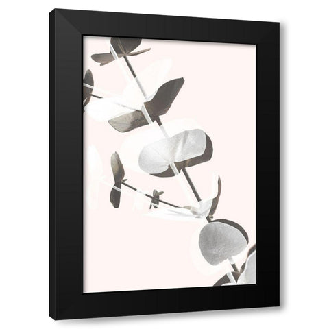 Eucalyptus Creative 13 Black Modern Wood Framed Art Print with Double Matting by Artographie Studio