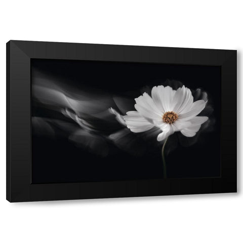 Symphony White Black Modern Wood Framed Art Print by Karpova, Inna