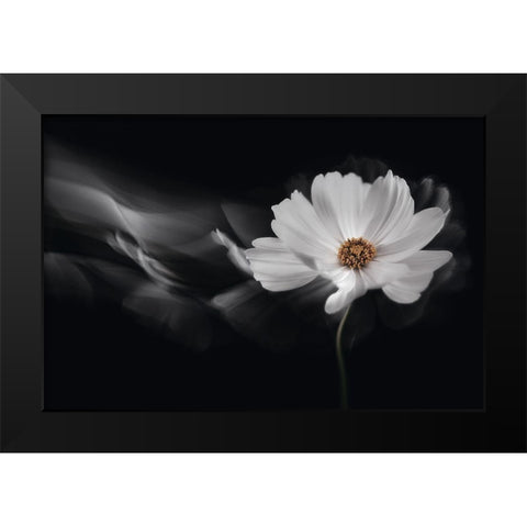 Symphony White Black Modern Wood Framed Art Print by Karpova, Inna