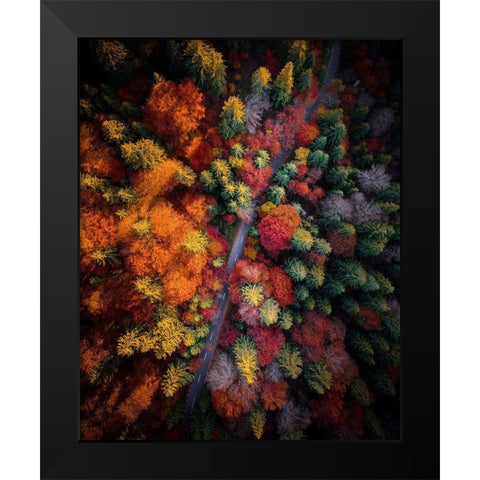 Fall stories Black Modern Wood Framed Art Print by Razvan