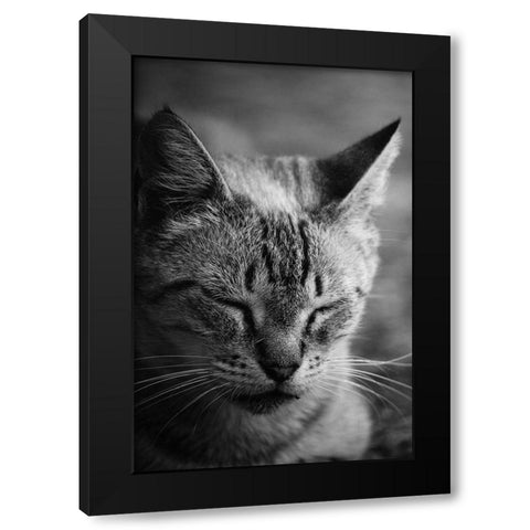 Close to the sunlight Black Modern Wood Framed Art Print with Double Matting by Cambero Munoz, Jesus