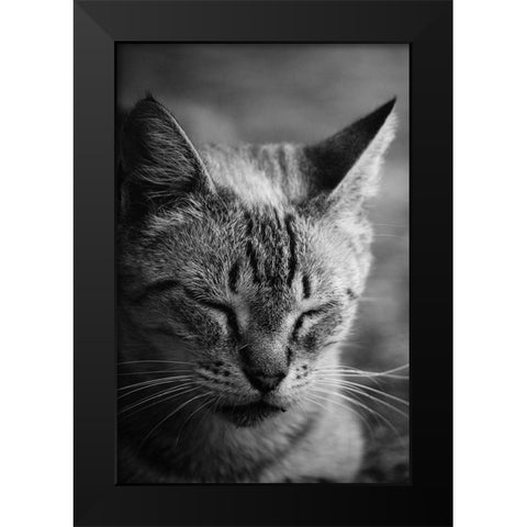 Close to the sunlight Black Modern Wood Framed Art Print by Cambero Munoz, Jesus