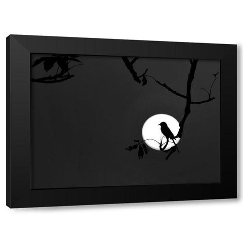 Nightingale of my Dreams Black Modern Wood Framed Art Print by Maiti, Asamanj