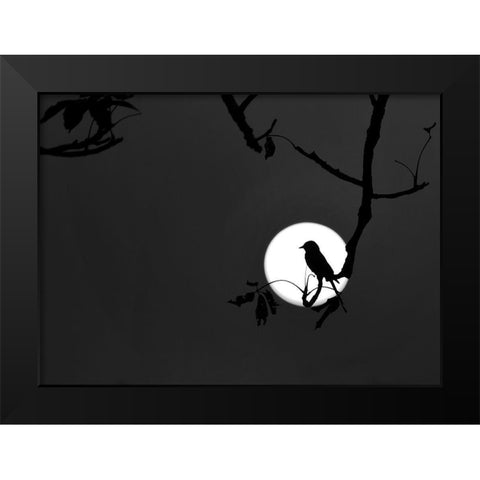 Nightingale of my Dreams Black Modern Wood Framed Art Print by Maiti, Asamanj