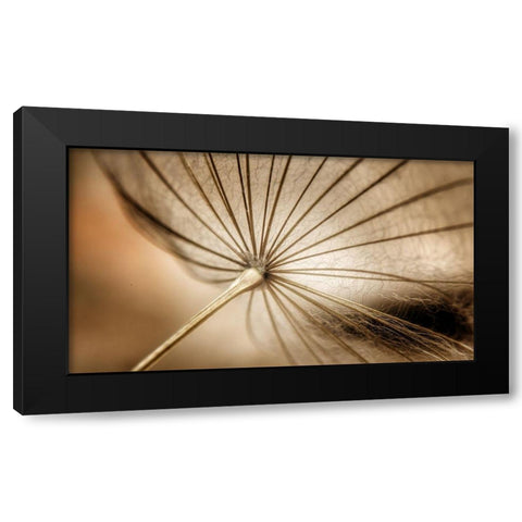 Nature Blood Vessels Black Modern Wood Framed Art Print with Double Matting by Pessach, kobbie