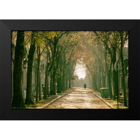 Long Way Home Black Modern Wood Framed Art Print by Tiryakioglu, Mustafa
