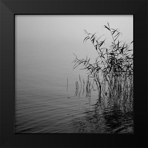 Mist Over the Lake 2021 Black Modern Wood Framed Art Print by Riis, poul-erik