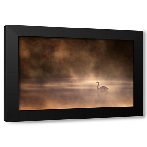 Foggy Morning Black Modern Wood Framed Art Print with Double Matting by Zhong, John-Mei