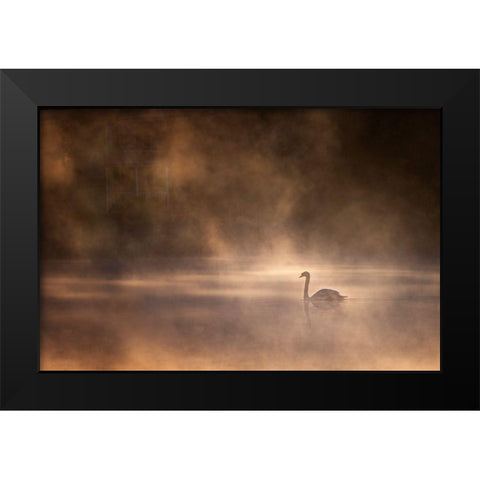 Foggy Morning Black Modern Wood Framed Art Print by Zhong, John-Mei