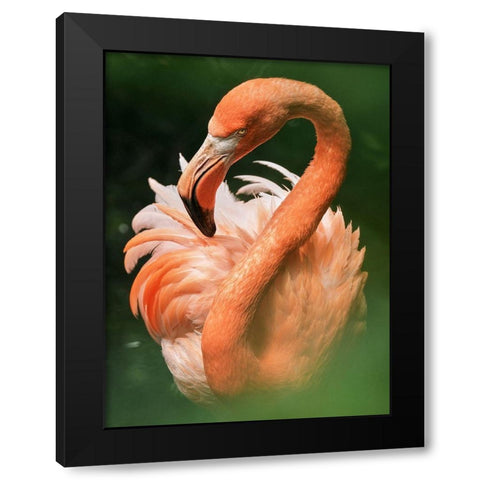 Flame Black Modern Wood Framed Art Print by Zetos, Alexios
