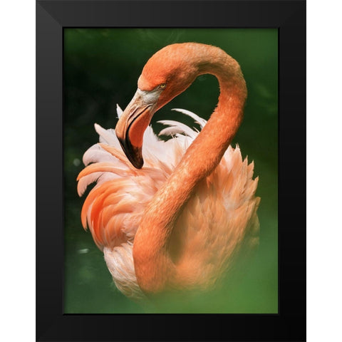 Flame Black Modern Wood Framed Art Print by Zetos, Alexios