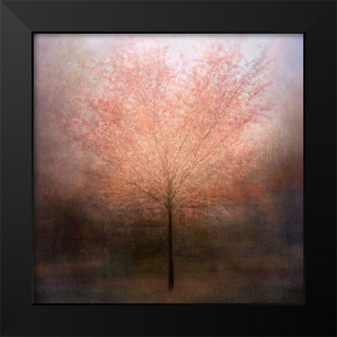 Dream Come True Black Modern Wood Framed Art Print by Holmstrom, Katarina