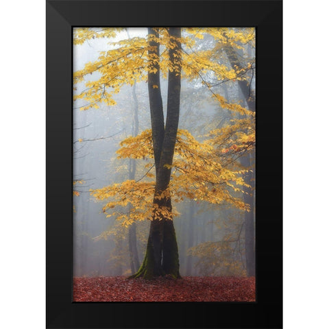Loving trees Black Modern Wood Framed Art Print by Hafezi, shahram