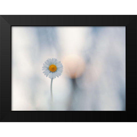 Candida Black Modern Wood Framed Art Print by Bonazza, Lara