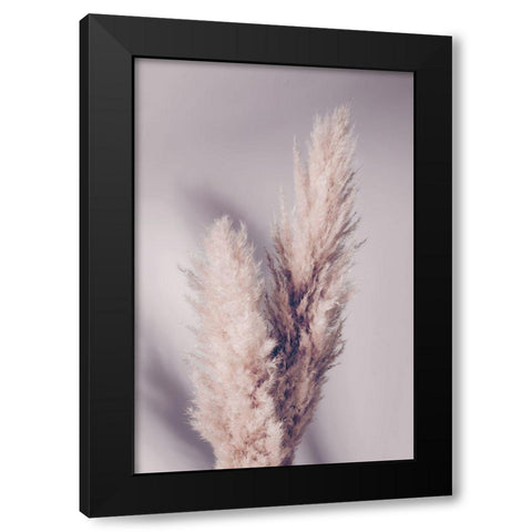 Pampas Grass Black Modern Wood Framed Art Print with Double Matting by Artographie Studio