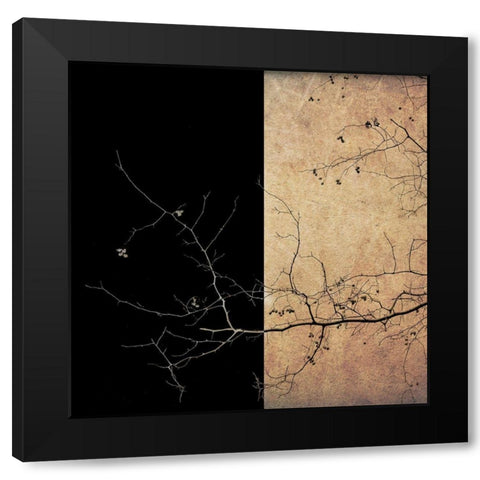 Last Berries Black Modern Wood Framed Art Print with Double Matting by Novichikhin, Evgenii