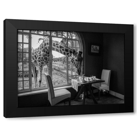 Breakfast time Black Modern Wood Framed Art Print with Double Matting by Fischer, Jie