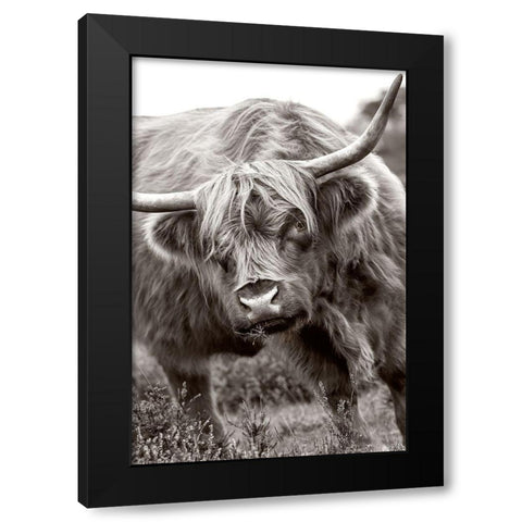 The Bull Black Modern Wood Framed Art Print with Double Matting by Parker, Jacky