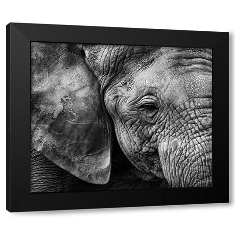Elephant skin Black Modern Wood Framed Art Print with Double Matting by Garcia, Helena