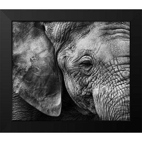 Elephant skin Black Modern Wood Framed Art Print by Garcia, Helena