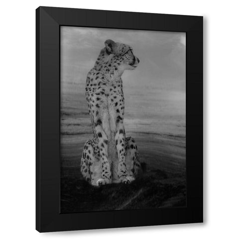 Cheetah on the Watch Black Modern Wood Framed Art Print with Double Matting by Wisniowska, Krystina