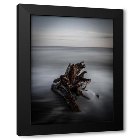 Naufrago Black Modern Wood Framed Art Print with Double Matting by Lintaman, Adachi