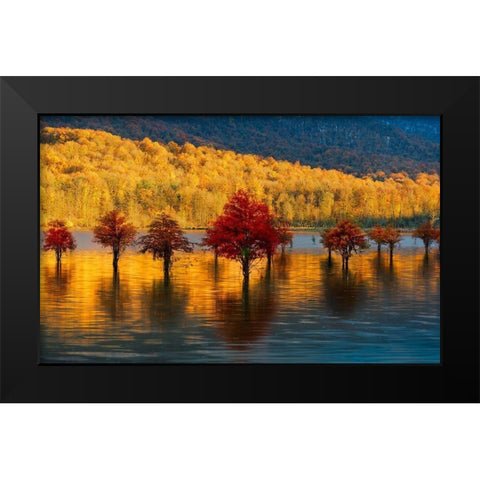 Golden Sunset Black Modern Wood Framed Art Print by Fallahzadeh, Ali