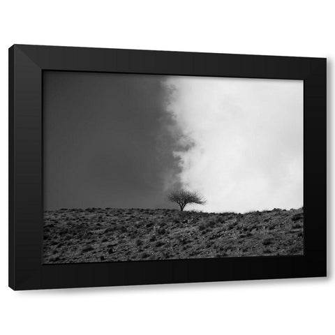 The Sky is Mine Black Modern Wood Framed Art Print with Double Matting by Noori, Saba