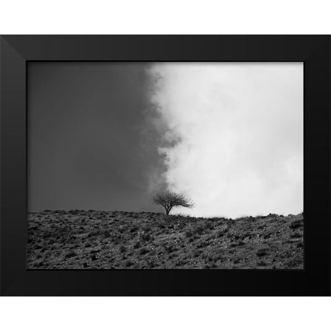 The Sky is Mine Black Modern Wood Framed Art Print by Noori, Saba