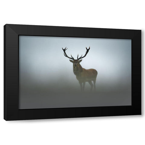 Ephemerality Black Modern Wood Framed Art Print with Double Matting by Rudchenko, Olga