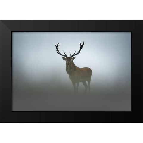 Ephemerality Black Modern Wood Framed Art Print by Rudchenko, Olga